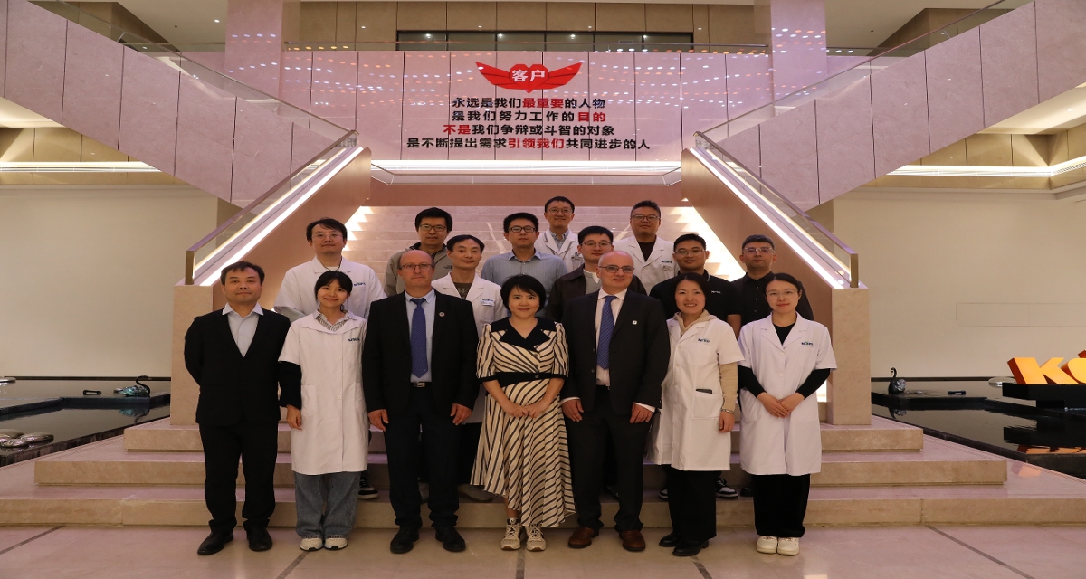 IEC/TC 95�߲�����Ÿ��������ʹ�����չս���Ի�